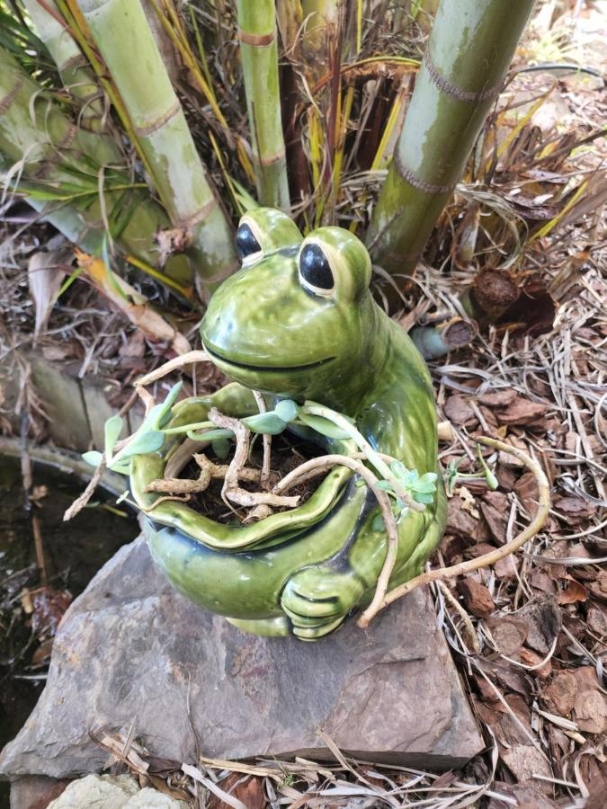 Brom Cottage Mooloolah Esterno foto